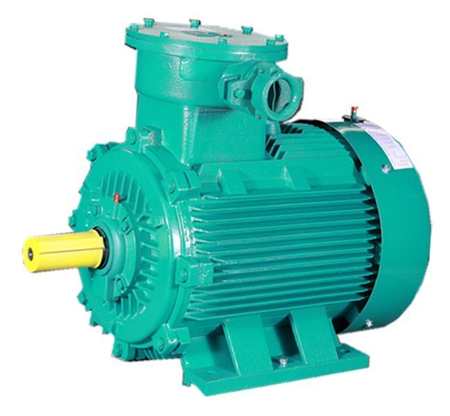 Rot Motor Explosion Proof Motors – rotorwell – Electrical Motors, Conveyors ...
