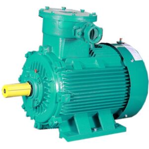 Explosion Proof Motors